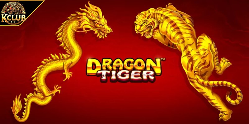 Giới thiệu tổng quan về Long Hổ 